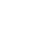 لوگوی استاندارد